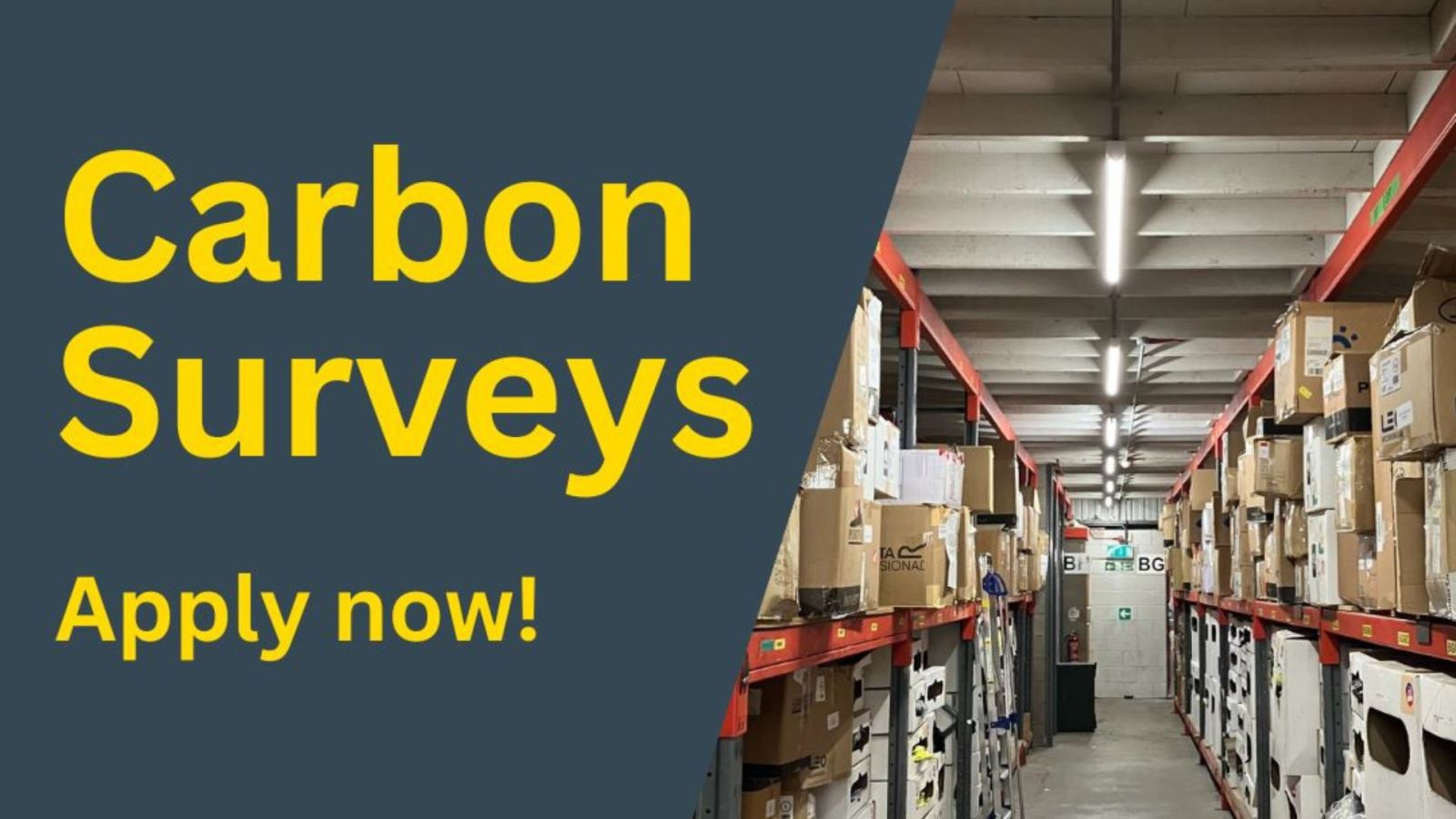 Carbon Surveys - Sustainability